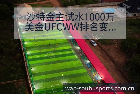 沙特金主试水1000万美金UFCWW排名变化与后续走势战 - 搜狐体育