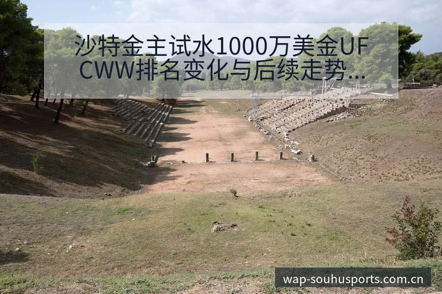 沙特金主试水1000万美金UFCWW排名变化与后续走势战 - 搜狐体育
